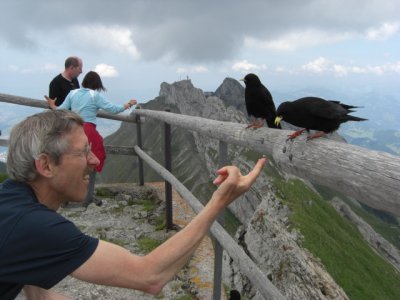 After a 60 minutes walk to Tomlishorn, bird feeding