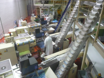 Alprose chocolate factory. Small, frequently copied but never equalled