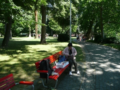 Lugano, park Belvedere, strawberry cake for lunch